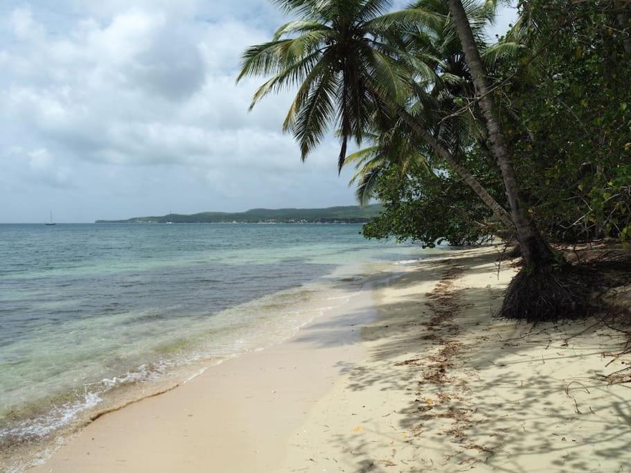 Katalea - Blue Dream, Plage, Piscine, Bar Grand-Bourg (Marie Galante) Extérieur photo